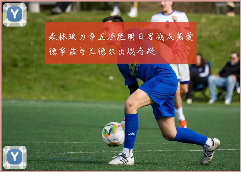 森林狼力争五连胜明日客战灰熊爱德华兹与兰德尔出战存疑