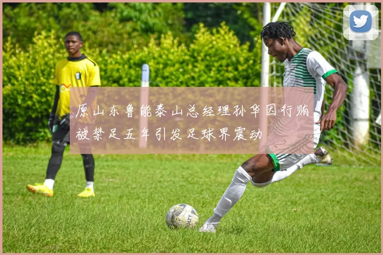 原山东鲁能泰山总经理孙华因行贿被禁足五年引发足球界震动