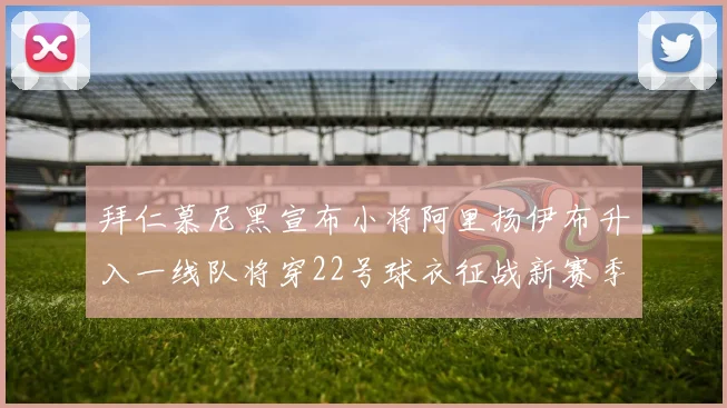 拜仁慕尼黑宣布小将阿里扬伊布升入一线队将穿22号球衣征战新赛季